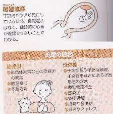 繋留流産.jpg